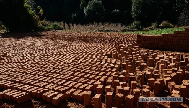 "Армата" не заглох на параде. Скамейка украинца