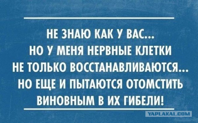 Картинки с описанием