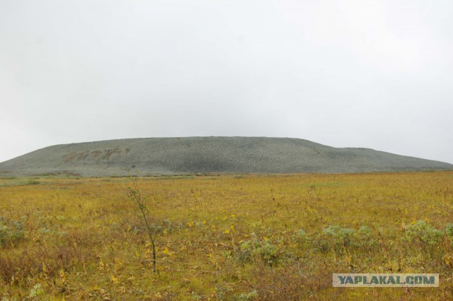 Прогулка.
