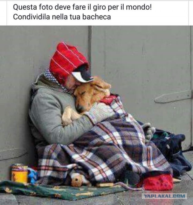 «Нафтогаз»: Украина «радикально» повысит ставку на