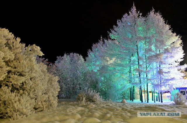 Полярная ночь в Мурманске