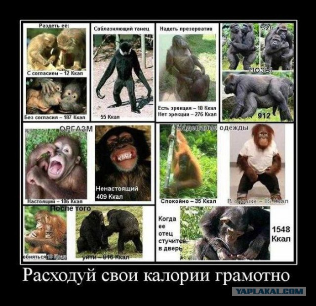 Таблица сжигания калорий при занятии сексом.