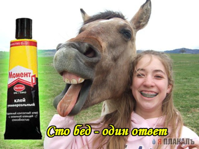 Фотожаба: Токежан и клей
