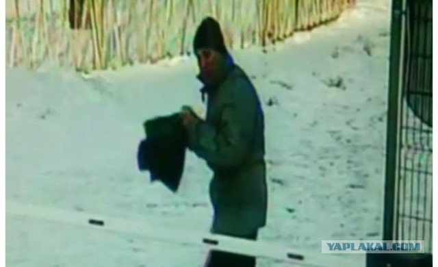 Нижнекамец избивает школьницу