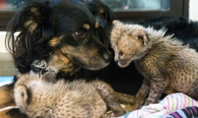 Подборка интересных и веселых картинок