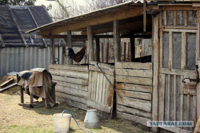 Сельскохозяйственный эксперимент ч. 7