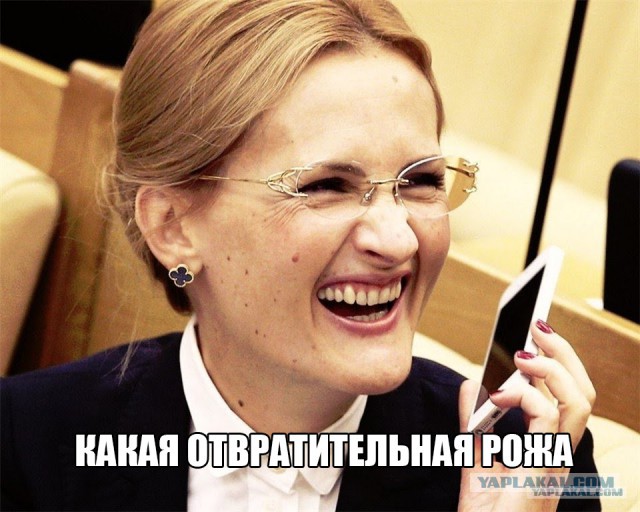 Яровая ответила на критику антитеррористического закона.