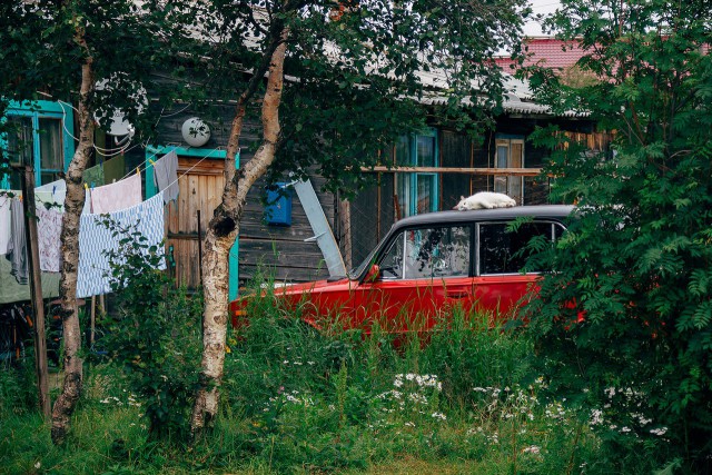 Подборка "тёплых уютных домашних" фотографий, часть 6