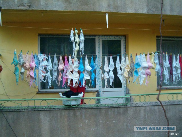 Жизнь общажная