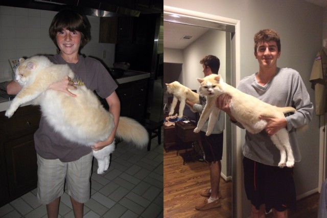 Набористый набор картинок