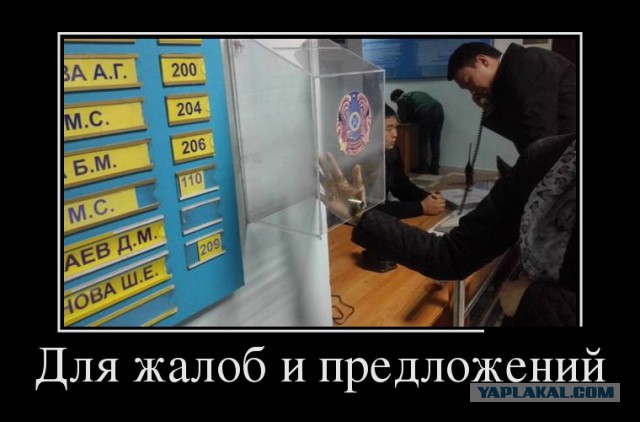 Баяны в чёрных рамках