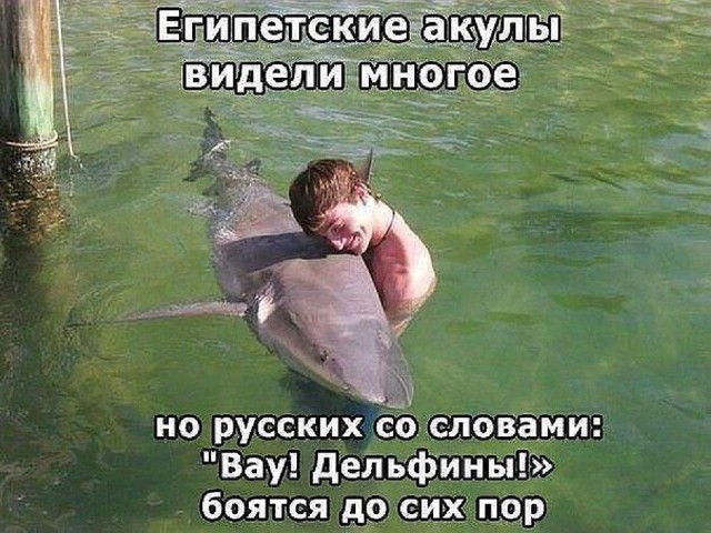 Разное почитать
