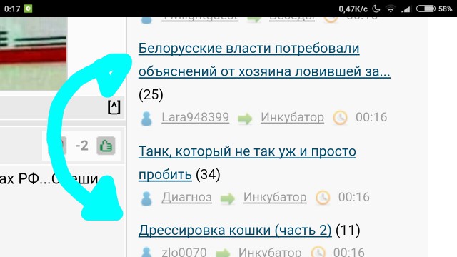 Белорусские власти потребовали объяснений от хозяина ловившей зайцев кошки