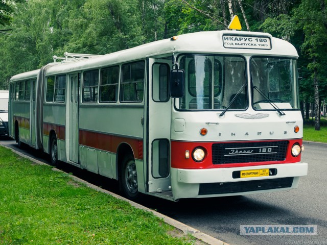 Ikarus 55 Lux "Сигара". Восставший красавчик