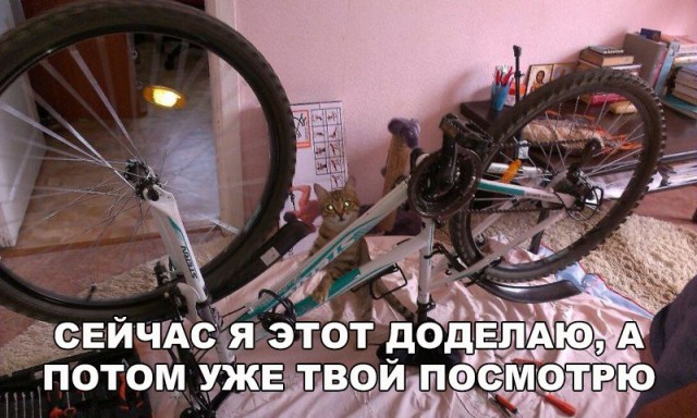 Подборка разного из сети