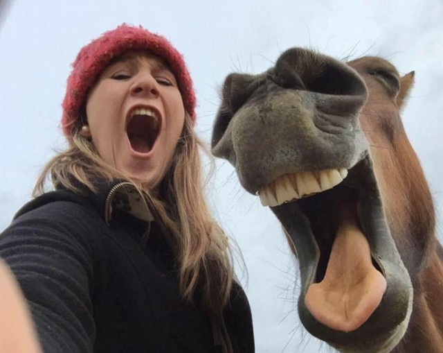 Подборка интересных и веселых картинок