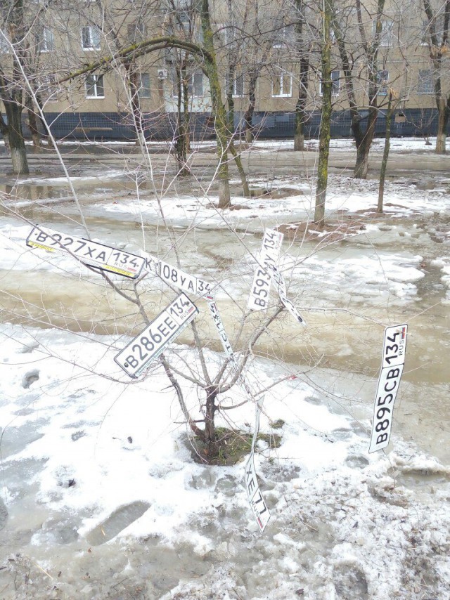 А что у вас за окном?