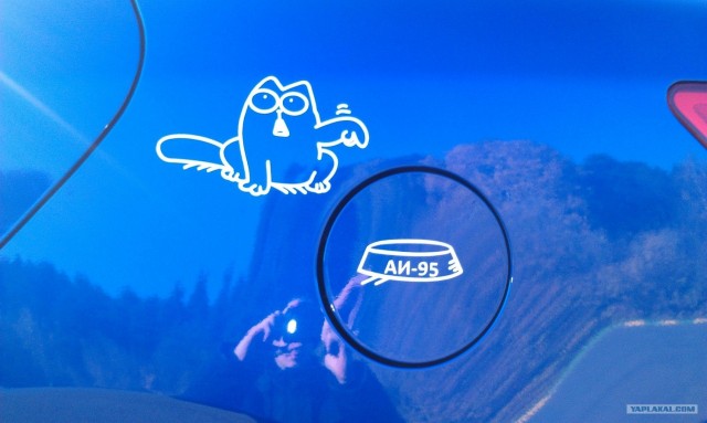 Котэ хочет есть