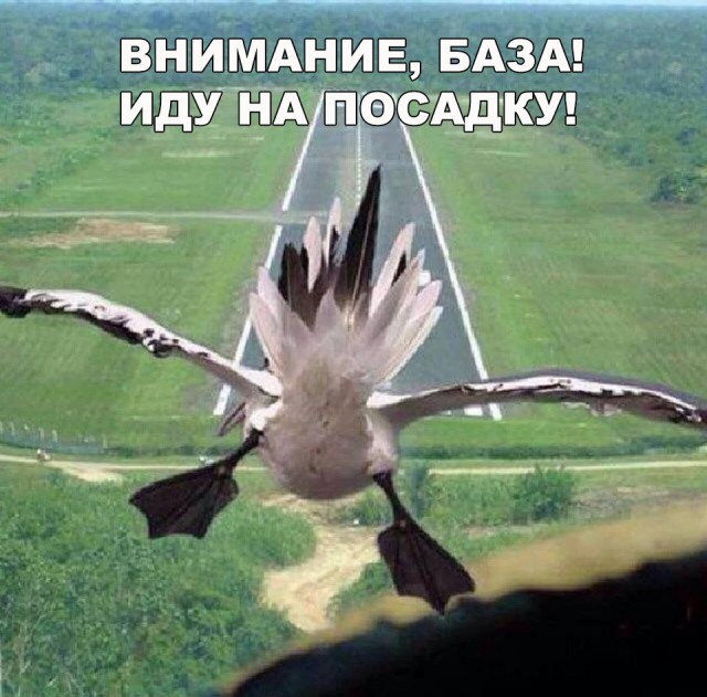 Нестандартный юмор