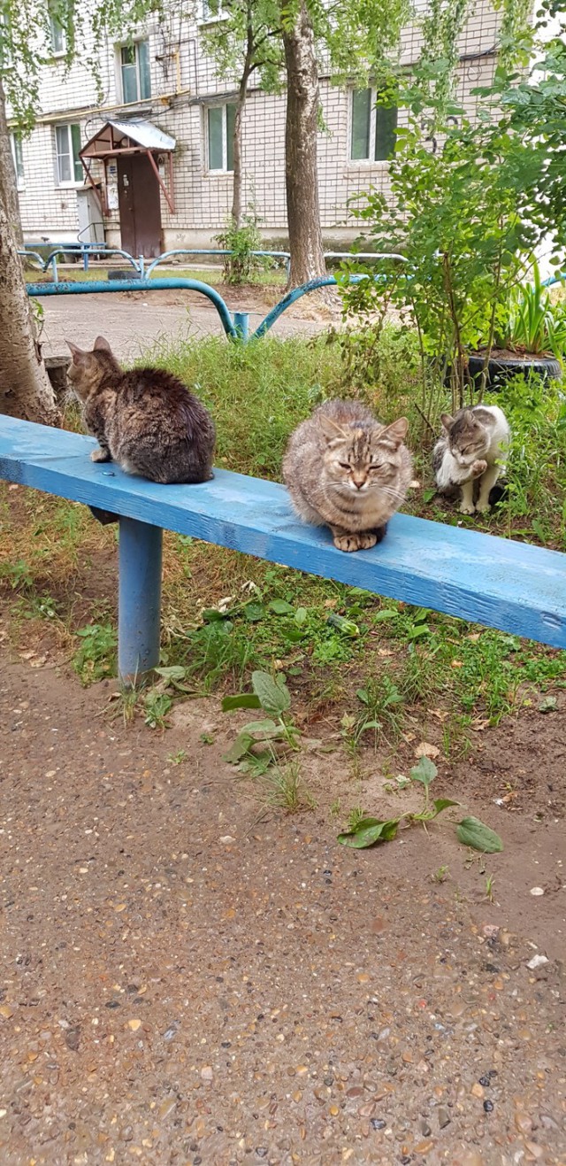 Картинки по-приколу