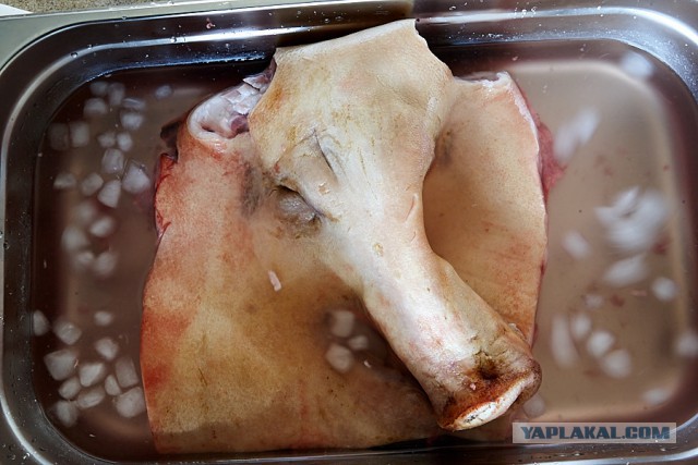 Уголок гастронома... Porchetta di Testa.
