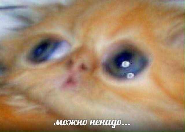 Началась работа над "12 стульями" с Нагиевым в роли Остапа Бендера