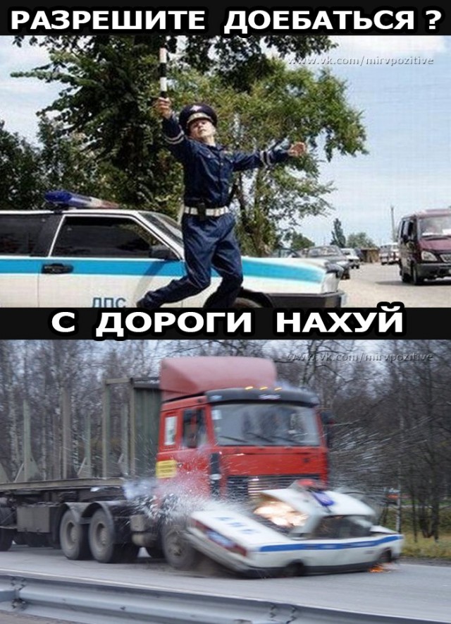 Картинки для настроения, честно стыренные на просторах тырнета