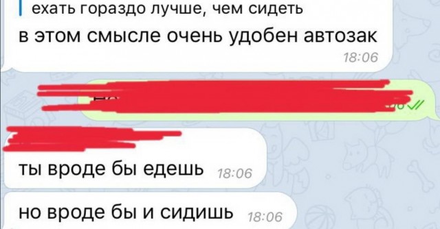 Скотсети и прочие интернеты 23.08.19