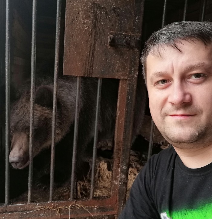 В Карелии спасли недельных медвежат, которых бросила мама