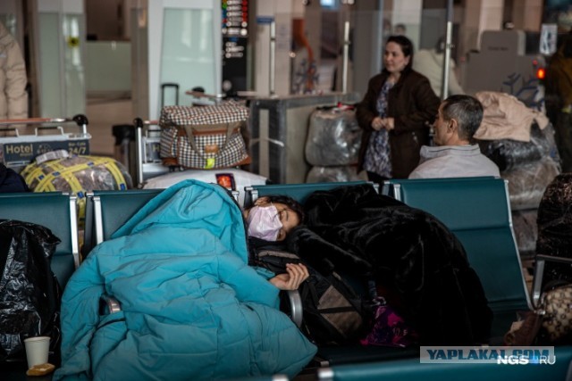 Мигранты, потерявшие работу из-за коронавируса, потребовали от России их кормить