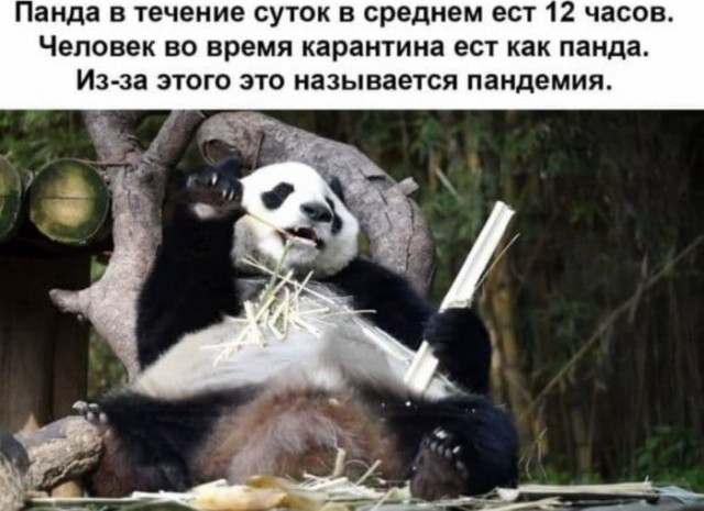 Немного картинок для настроения 20.04.20