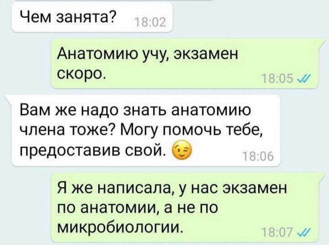 Картинки из рабочего чата 23.04