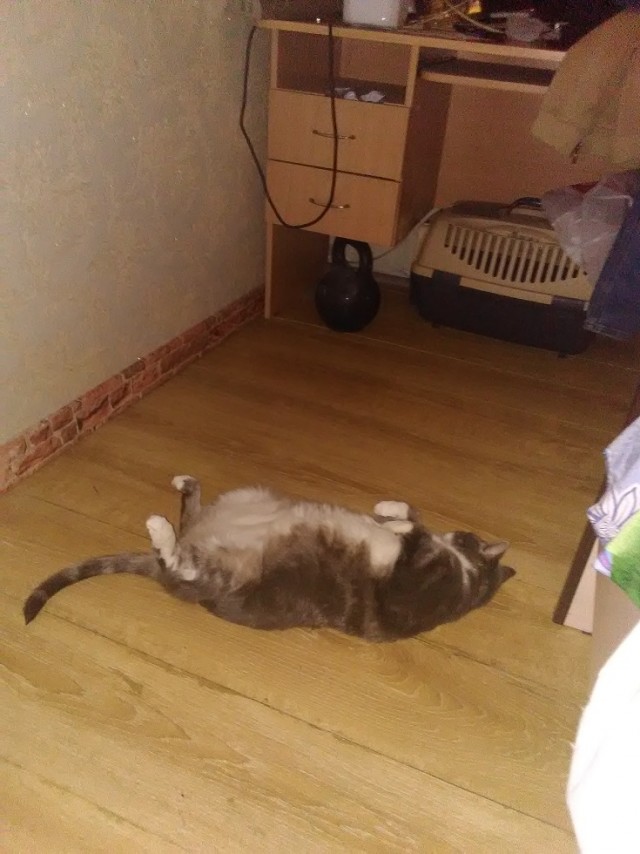 Теряя свою веру