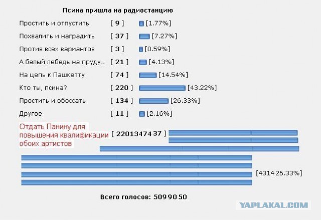 Псина пришла на радиостанцию