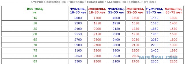 Как выглядят 100 ккал в 19 разных продуктах