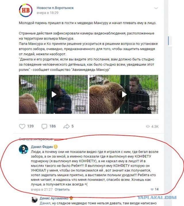 Подросток плюнул в морду медведю-авиатору из Калужской области