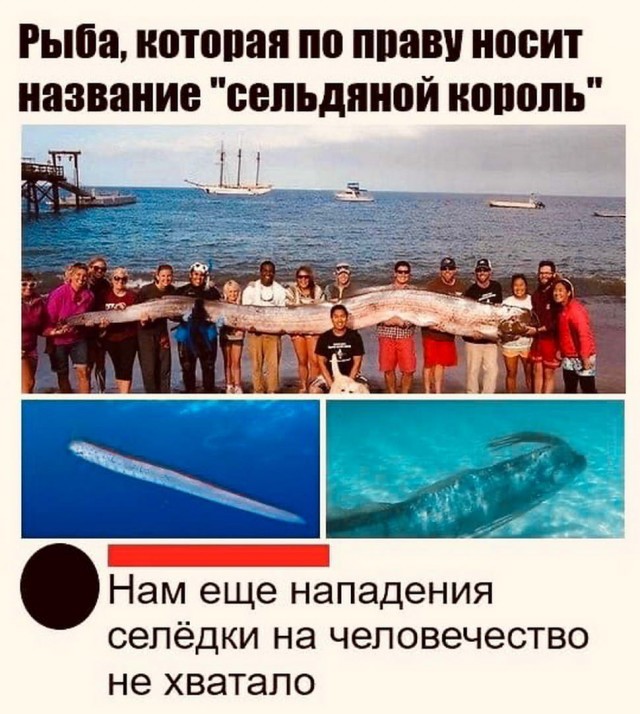 Картинки с надписями фразы и анекдоты