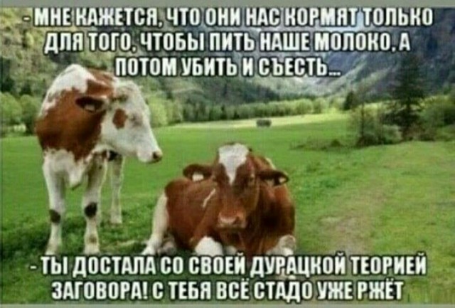 На Дальнем Востоке открылись первые рестораны «Макдоналдс»