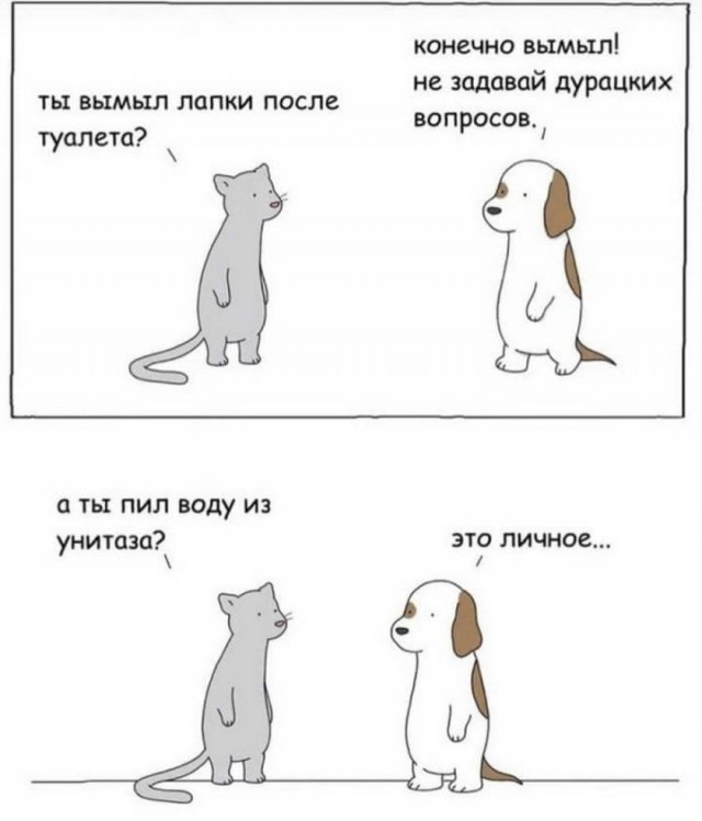Картинки и мемы для настроения 029