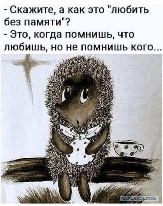 30 боянов