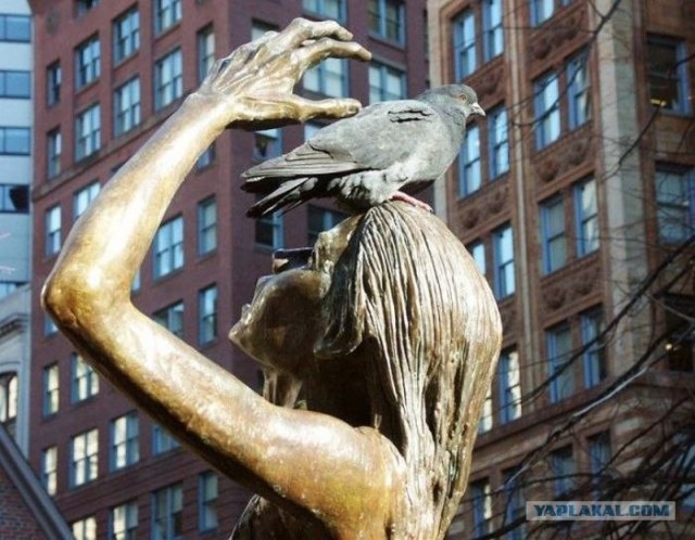 Лучший фильм с бодуна