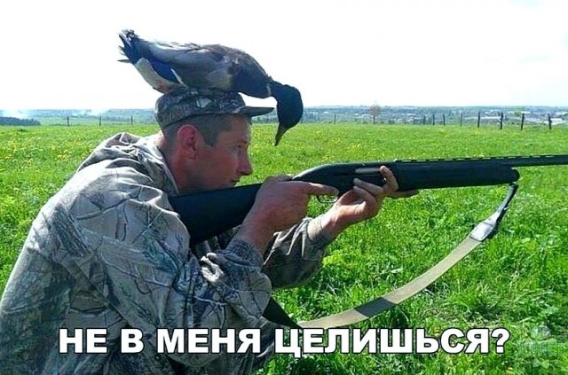 Воскресные картинки