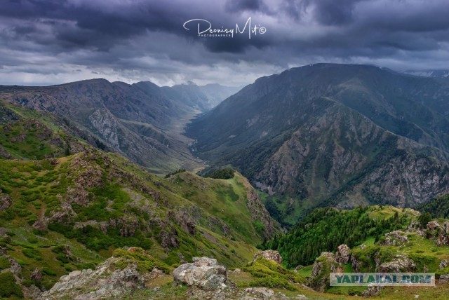 Живу в Алма-Ате (Казахстан)