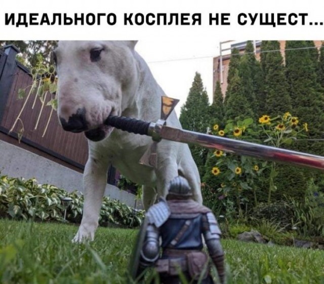 Картинки и мемы для настроения 09.06.2021