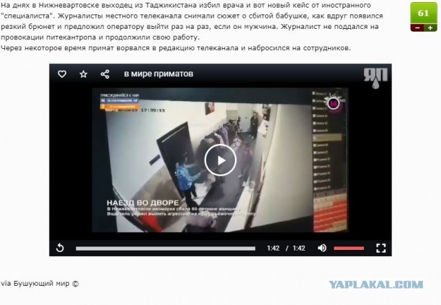 Из жизни приматов.