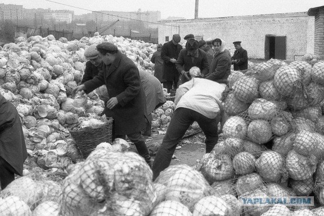 Фотографии из прошлого нашей страны