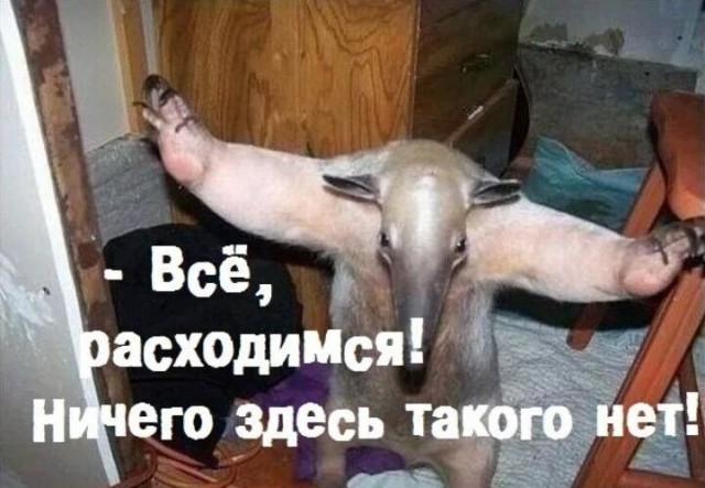 Пандемия. Коронавирус. Россия и мир. Часть 29