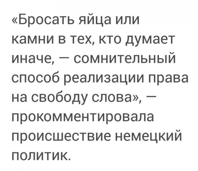 Главу немецкого МИД забросали яйцами в ходе митинга на северо-западе Германии