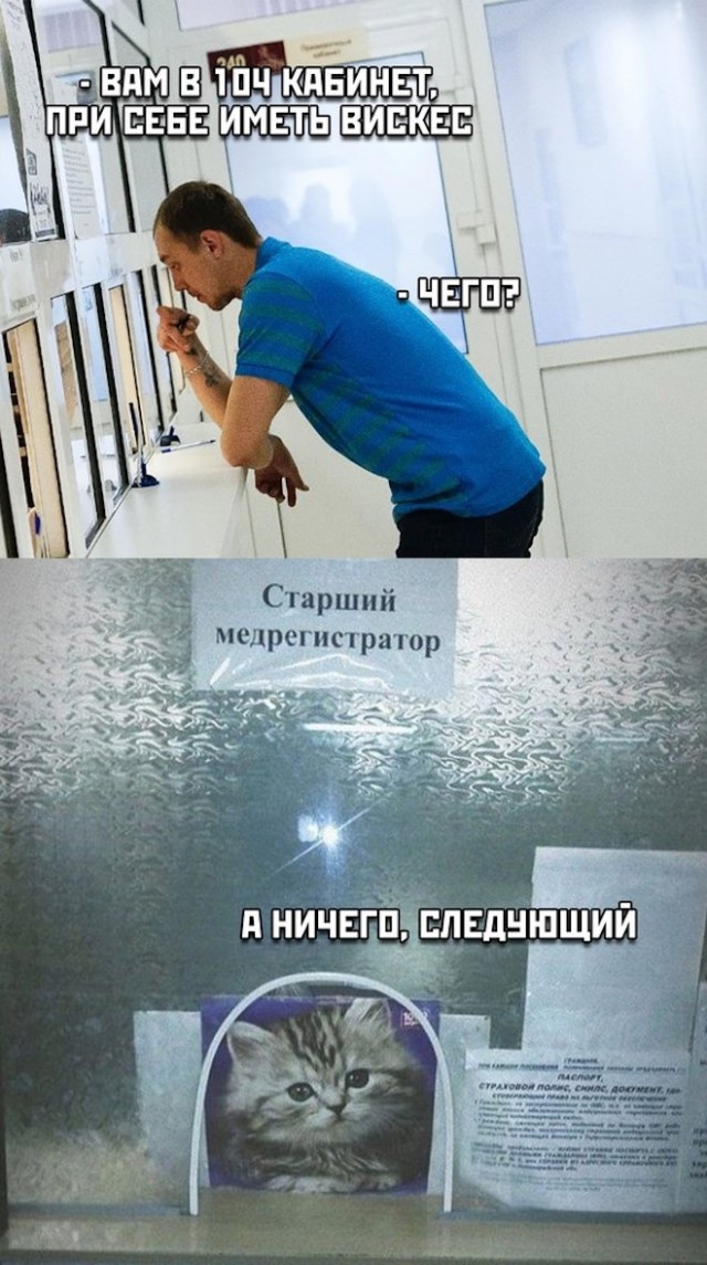 Картинки и мемы для настроения - 27
