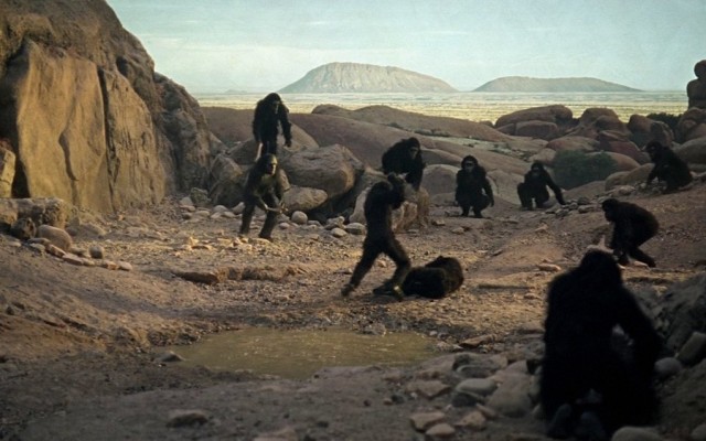 Работники сочинского пляжа "Фрегат" избили самбиста из Минска